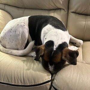 Meet your Posher, Staton